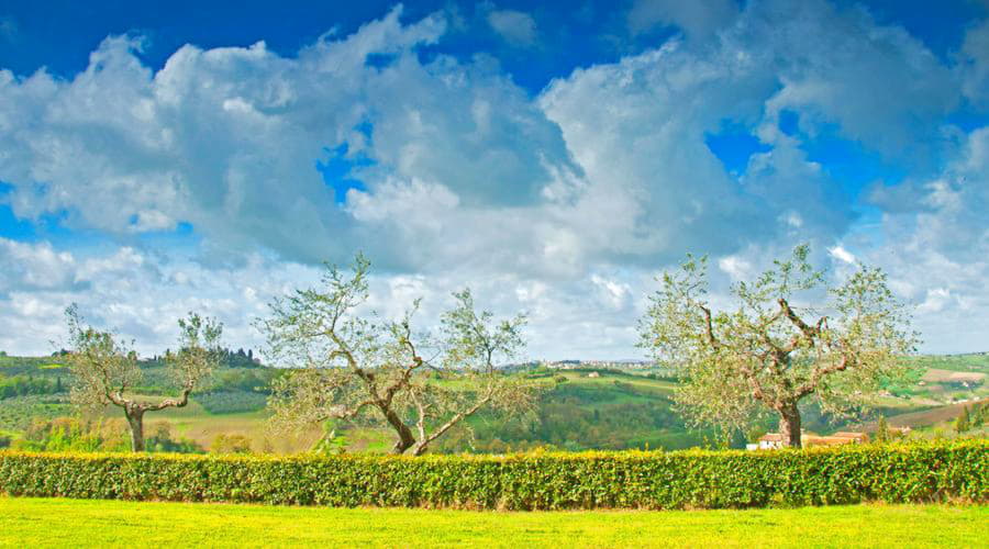 Las mejores ofertas de alquiler de coches en Montagnana